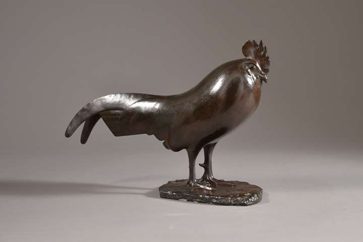 COQ DORMANT